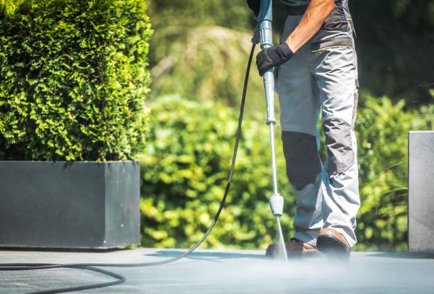 Best Paint Preparation  in Tice, FL